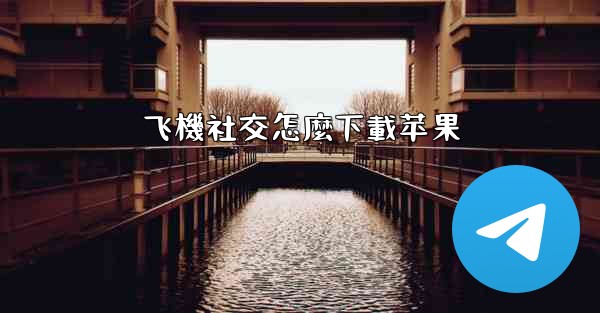 飞機社交怎麼下載苹果