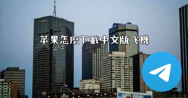 苹果怎麼下載中文版飞機