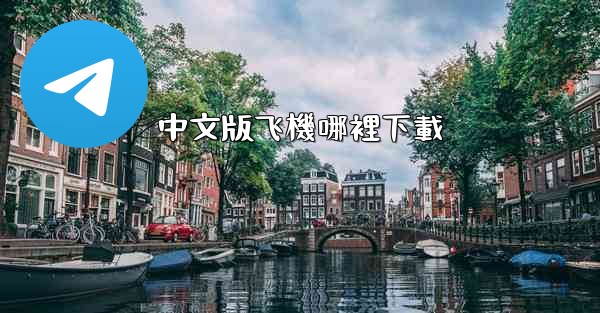 中文版飞機哪裡下載