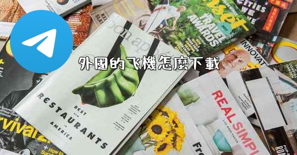 外國的飞機怎麼下載