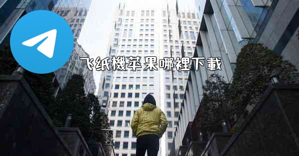 飞纸機苹果哪裡下載