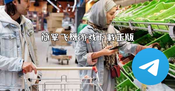 簡單飞機游戏下載正版