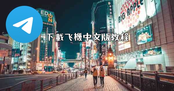 下載飞機中文版教程