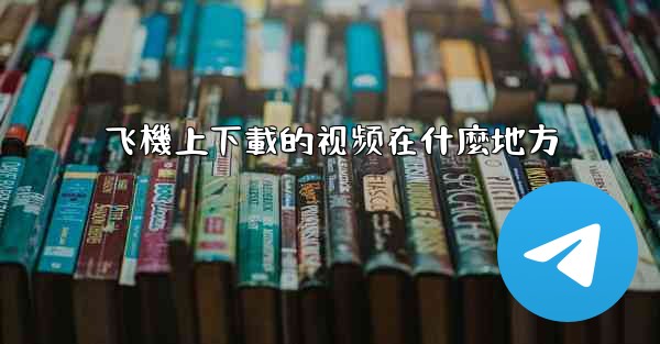 飞機上下載的视频在什麼地方