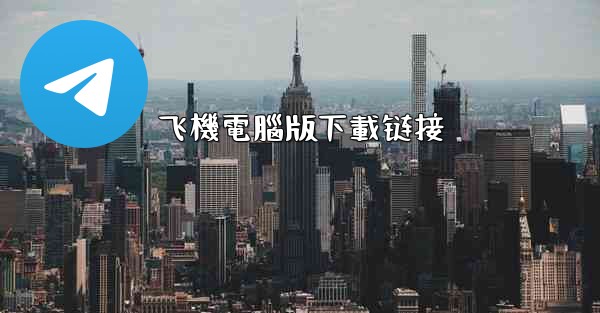 飞機電腦版下載链接