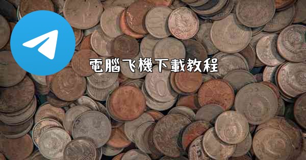 電腦飞機下載教程