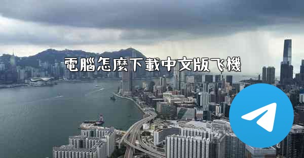 電腦怎麼下載中文版飞機