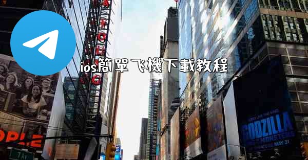 ios簡單飞機下載教程