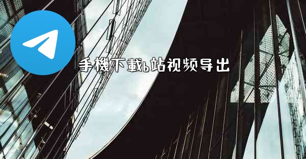 手機下載b站视频导出