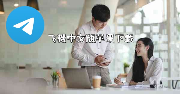 飞機中文版苹果下載