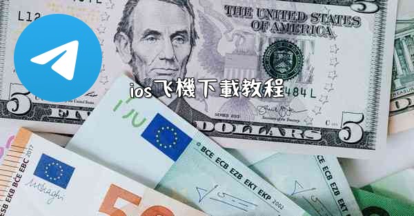 ios飞機下載教程