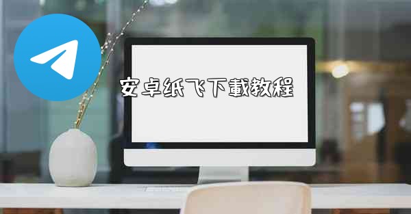安卓纸飞下載教程