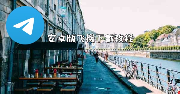 安卓版飞機下載教程