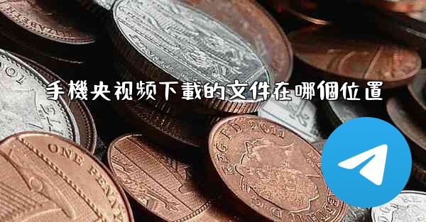 手機央视频下載的文件在哪個位置