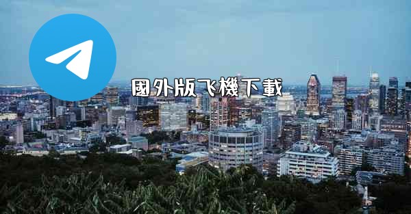 國外版飞機下載