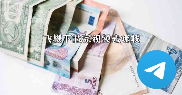 飞機下載完视频去哪找