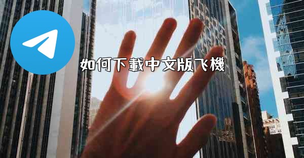 如何下載中文版飞機