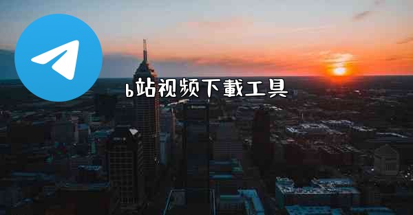 b站视频下載工具