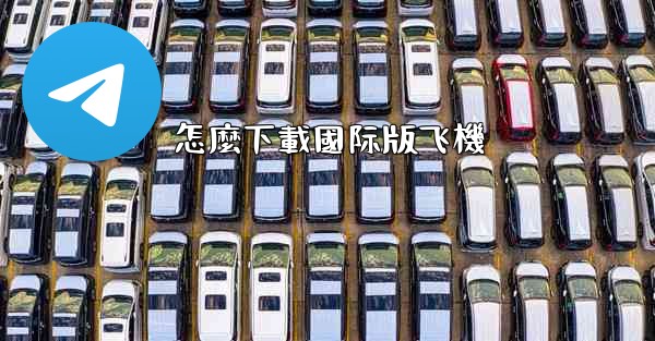 怎麼下載國际版飞機