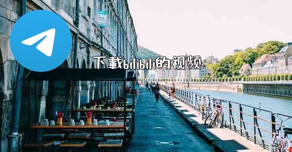 下載bilibili的视频