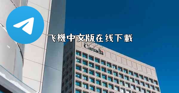 飞機中文版在线下載