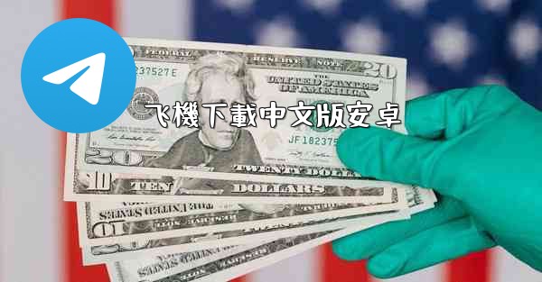 飞機下載中文版安卓