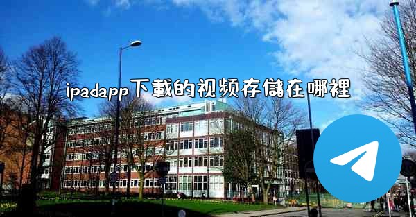 ipadapp下載的视频存儲在哪裡