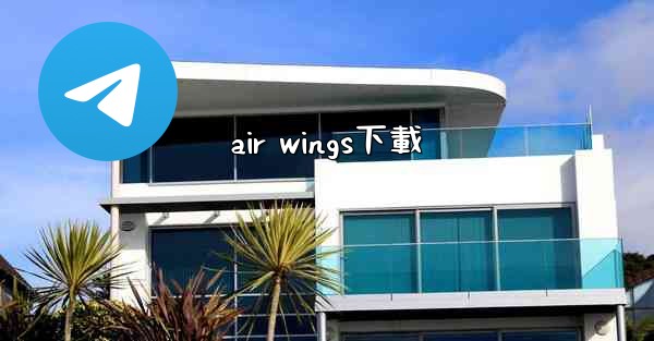 air wings下載