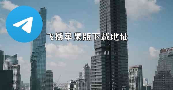 飞機苹果版下載地址