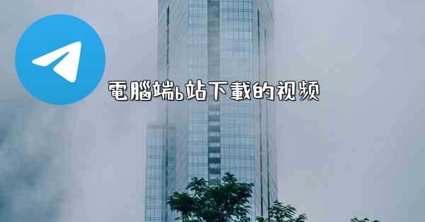 電腦端b站下載的视频