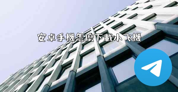 安卓手機怎麼下載小飞機