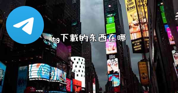 tg下載的东西在哪