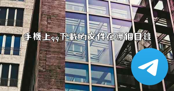 手機上qq下載的文件在哪個目錄