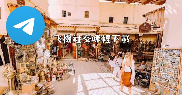 飞機社交哪裡下載
