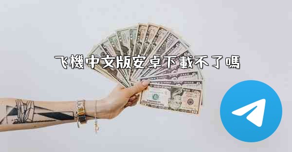 飞機中文版安卓下載不了嗎