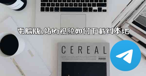 電腦版b站的视频如何下載到本地