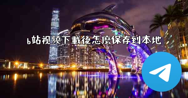 b站视频下載後怎麼保存到本地