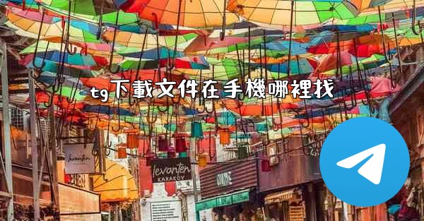 tg下載文件在手機哪裡找