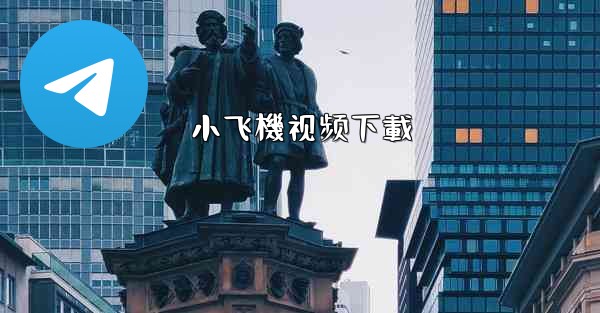 小飞機视频下載