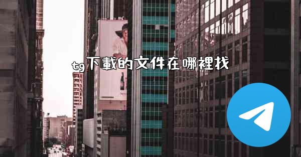 tg下載的文件在哪裡找