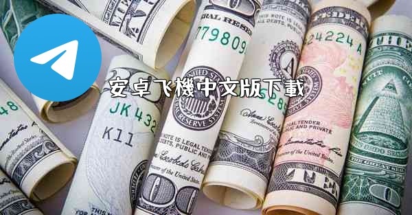 安卓飞機中文版下載