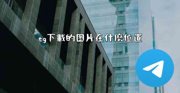tg下載的图片在什麼位置