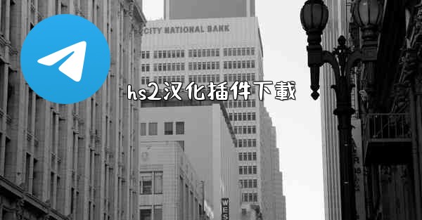 hs2汉化插件下載