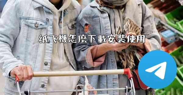 纸飞機怎麼下載安裝使用