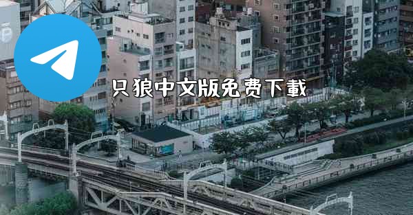 只狼中文版免费下載