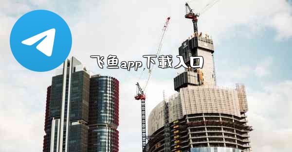 飞鱼app下載入口