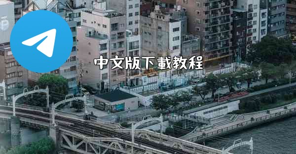 中文版下載教程