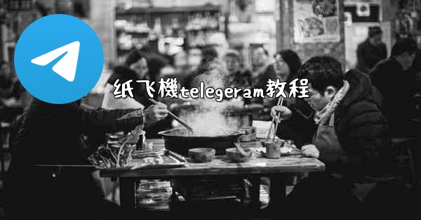 纸飞機telegeram教程