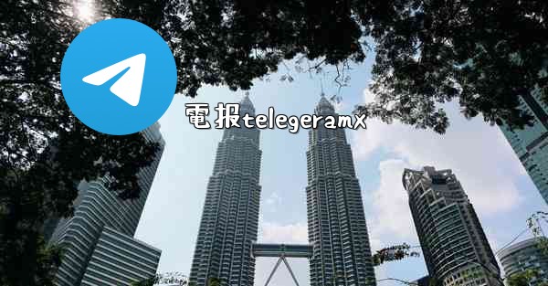 電报telegeramx