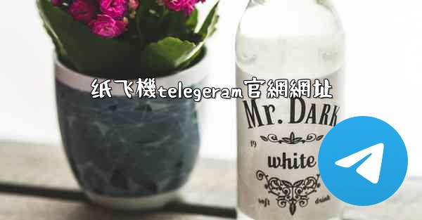 纸飞機telegeram官網網址